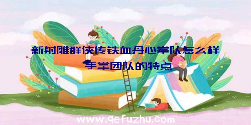 新射雕群侠传铁血丹心掌队怎么样